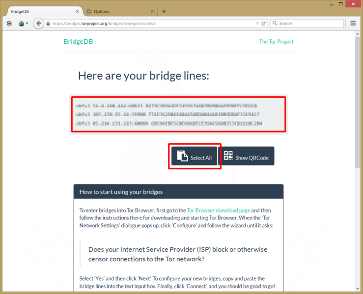 Файл:TorBrowser bridges 06.png